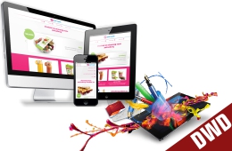 Certificate in Web Designing Certificate in Web Designing