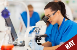 Hospital Assistant & Technician